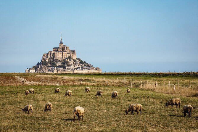 E-Bike Tour to Mont Saint Michel // Private guided tour - Why the Guides Make a Difference