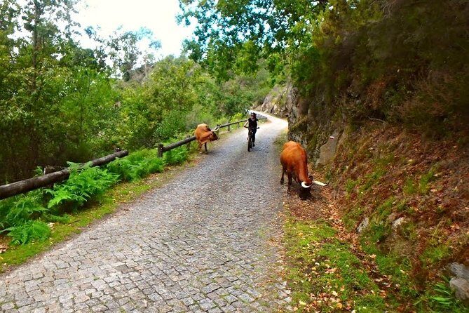 E-Bike Tour - The Sum Up