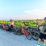 E-Bikes Rental in Santorini - Who Is This Tour Best For?