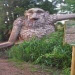 E-biking Northern Forgotten Giants' s Adventure - FAQ