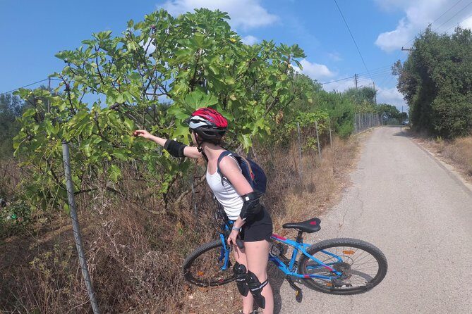 e-MTB Tour - Durrells Farm & Crab Lake [30Km - 18Mi] - What Could Be Improved?