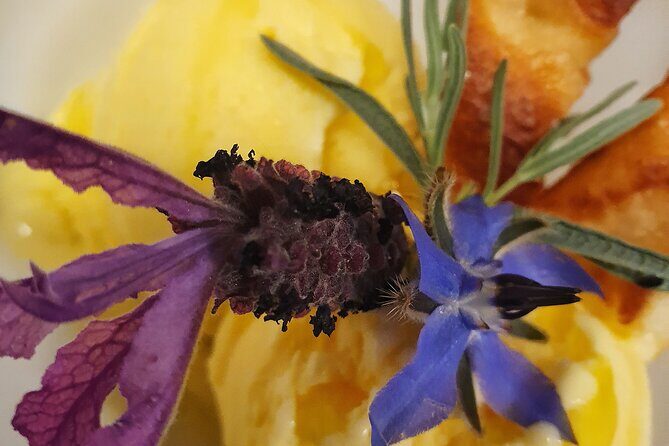 E.V.O. oil of Lake Como tasting+ food pairings - The Itinerary and Experience in Detail