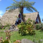 EAST: Pico do Arieiro & Laurissilva Forest - Full Day tour - Weather and Experience