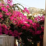 Easy Walks in Santorini Private Half Day Tour - The Real Value for Travelers