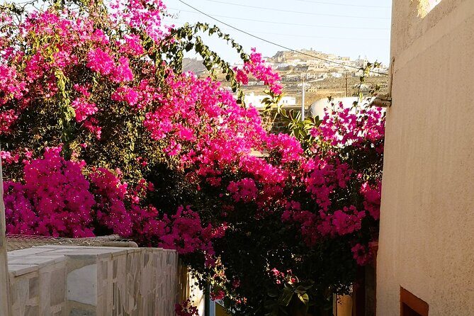 Easy Walks in Santorini Private Half Day Tour - The Real Value for Travelers
