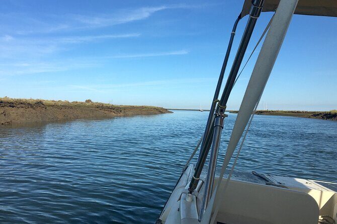 Eco Boat Tour in the Ria Formosa Lagoon from Faro - The Itinerary Breakdown