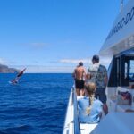 Eco-Friendly Catamaran Dolphin and Whale Watching - The Experience in Detail