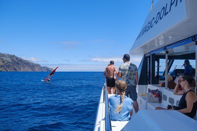 Eco-Friendly Catamaran Dolphin and Whale Watching - The Experience in Detail