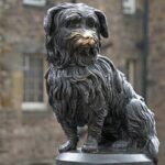 Edinburgh: Discover Edinburgh's Old Town Walking Tour - Practical Details