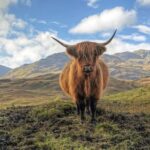 Edinburgh: Eilean Donan, Loch Ness & Glenfinnan - 2 Day Tour - Day 2: From Castles to Loch Ness