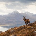 Edinburgh: Isle of Skye, Highlands and Loch Ness 3-Day Tour - Final Thoughts