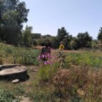 Educational visit of a Certified Organic Micro Farm in Trancoso - The Value for Money