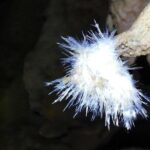 El Soplao Cave Visit with entrance ticket- small groups - Who Will Love This Tour?