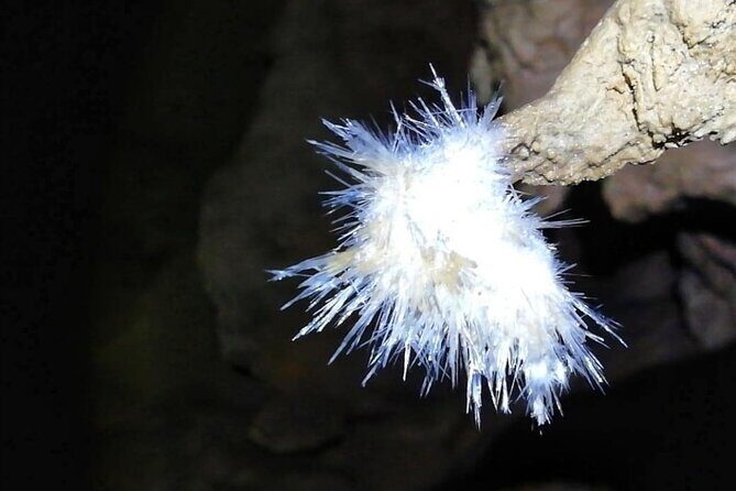 El Soplao Cave Visit with entrance ticket- small groups - Who Will Love This Tour?