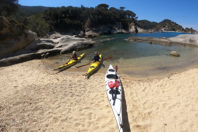 Elba Island Full Day Sea Kayak Tour - Itinerary Deep Dive: What to Expect Each Step of the Way