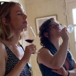English Speaking Loire Winery Tours originating from Chinon - The Detailed Itinerary Breakdown