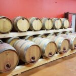 Enjoy a meal with wine tasting in the vineyard of Podere Casanova - The Details: Itinerary and Logistics