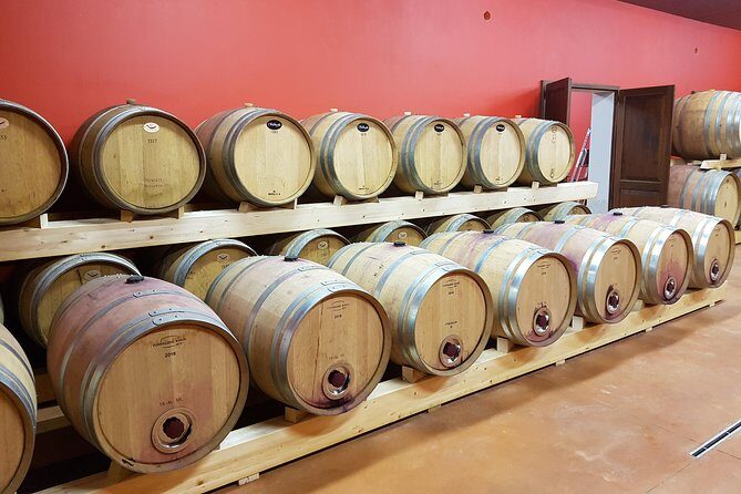 Enjoy a meal with wine tasting in the vineyard of Podere Casanova - The Details: Itinerary and Logistics