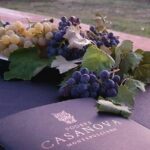 Enjoy a Wine Tasting after a cycling excursion in the magic of Tuscany - The Itinerary in Detail