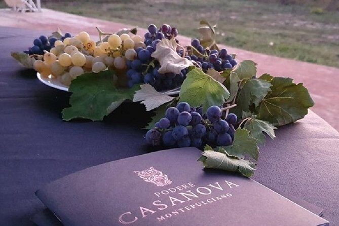 Enjoy a Wine Tasting after a cycling excursion in the magic of Tuscany - The Itinerary in Detail