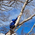 Etna Family Tour Excursion for families with children on Etna - Whats Included and Whats Not