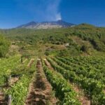 Etna panoramic private tour+Wine taste&food combination(AMAZING) - Final Thoughts: Is This Tour Right for You?