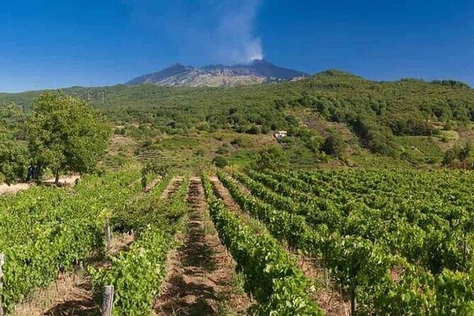 Etna panoramic private tour+Wine taste&food combination(AMAZING) - Final Thoughts: Is This Tour Right for You?