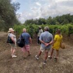 Etna Wineries Tour - Small Groups from Taormina - Exploring Castiglione di Sicilia