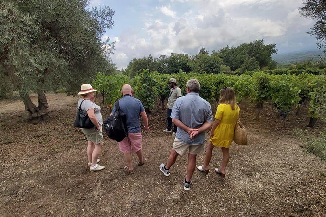 Etna Wineries Tour - Small Groups from Taormina - Exploring Castiglione di Sicilia