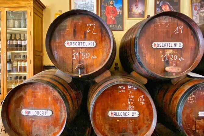 Evening Tapas Tour in Malaga - The Food & Drink: A Culinary Journey