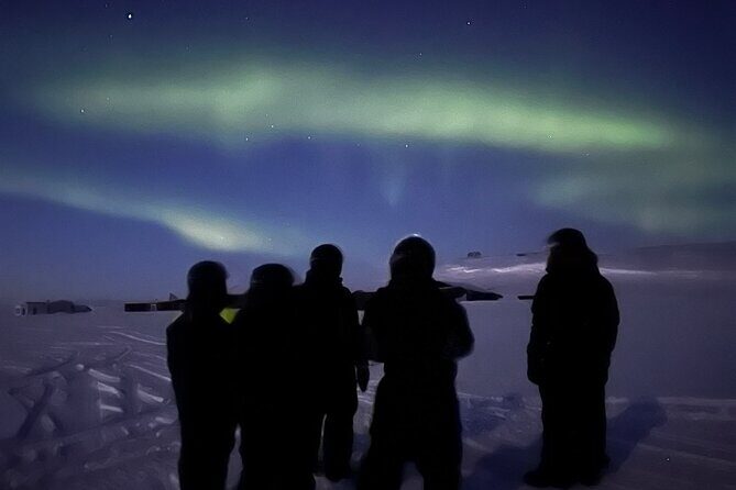 Evening Tour and Aurora Borealis Sightseeing in Norway by ATV - Who Should Consider This Tour?