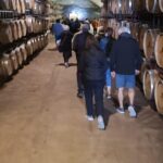 Évora Private Tour - Cork Factory and Wine Estate Included - Free Time in Évora’s Historic Center