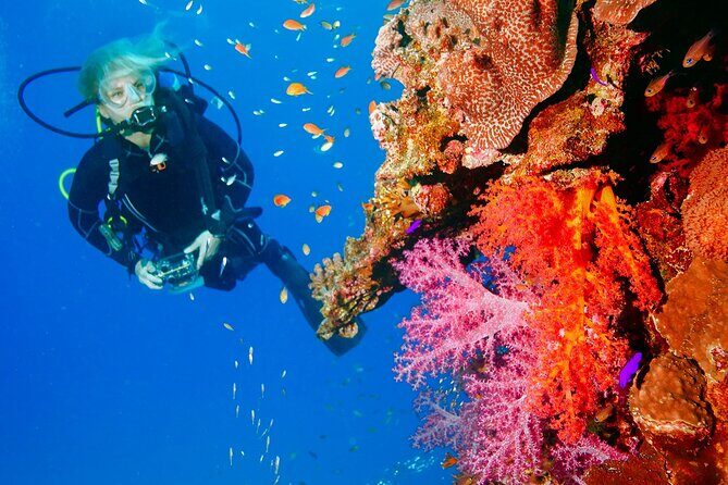 Exciteful Scuba Diving Experience in Antalya - In-Depth Look at the Tour Experience