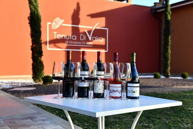 Exclusive Bolgheri from Florence: The Land of the Super Tuscan - The Scenic Drive and Atmosphere