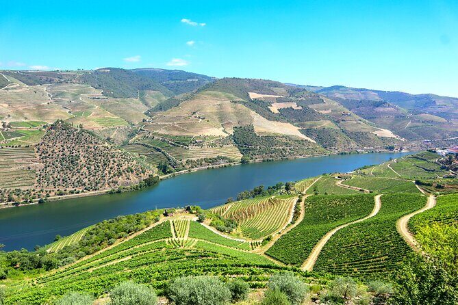 Exclusive Douro Valley: Visit 3 Wineries, 9 Wine Tastings & Lunch - How the Experience Comes to Life: What Travelers Say