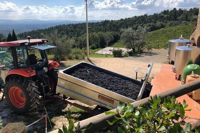 Exclusive Private Tuscany Wine Tour & Food Pairing Session - The Itinerary – What to Expect