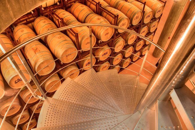 Exclusive tour: Ribera del Duero "like a native", with lamb in a wood oven - Who Should Consider This Tour?