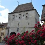 Exclusive tour: Sighisoara, Medias and Biertan tour from Sibiu - Comfort, Convenience, and Value