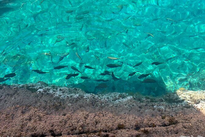 Excursion to Cala Salada, Punta Galera and Cala Saladeta paddle surf - The Experience’s Strengths and Possible Drawbacks