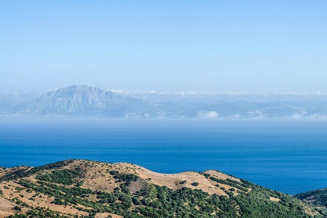 Excursion to Gibraltar with Rock Tour From Malaga - Is This Tour Worth It?