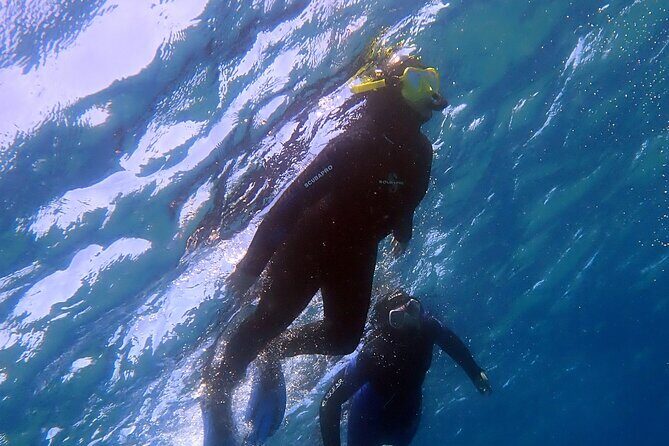 Experience 2-Hour Guided Snorkelling in Costa Teguise Lanzarote - The Snorkelling Equipment and Comfort