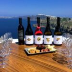 Experience Santorini: Wine Tasting Small Group Tour - Final Thoughts