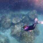 Experience Snorkelling in Puerto Del Carmen, Lanzarote - In The Sum Up