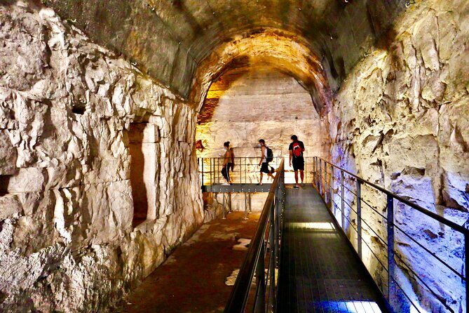 Expert Guided Tour of Colosseum Arena OR Underground, and Forum - Discovering the Colosseum: What to Expect