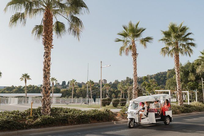 Expert Tour of Malaga in Private Eco Tuk Tuk - The Route in Detail: What You’ll See and Do