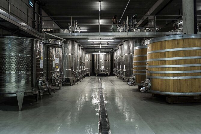 EXPLORATION - Visit of the estate, the cellars & tasting - The Tasting Experience