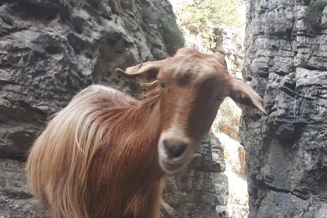 Explore IMBROS GORGE. - The Highlights: Why You Might Love This Tour