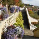 Explore Lourdes in 60 minutes with a Local - Who Should Consider This Tour?