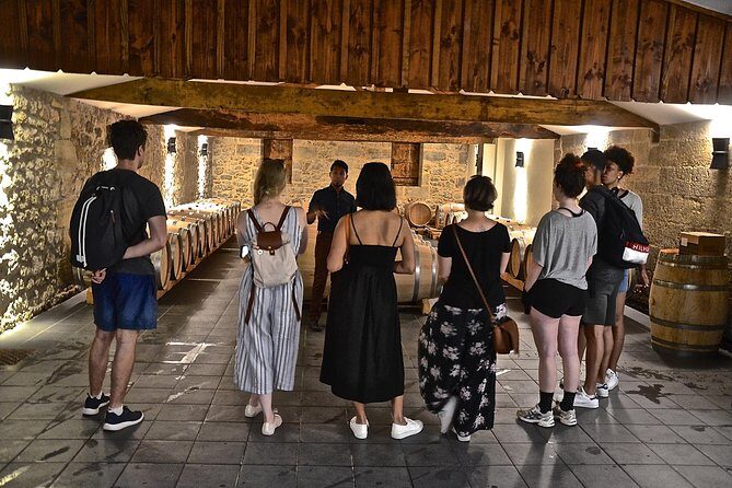 "Explore Saint-Émilion on e-Bikes: Small Group, half-Day Tour" - Who This Tour is Perfect For