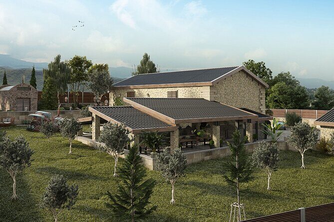 Explore the Secrets of Wine and Olives - The Practicalities: What You Should Know